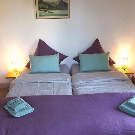 Combles et Vous, Duplex T6 Colmar, Famille, ALL INCLUSIVE, Jardin&Parking vélos Exterior foto