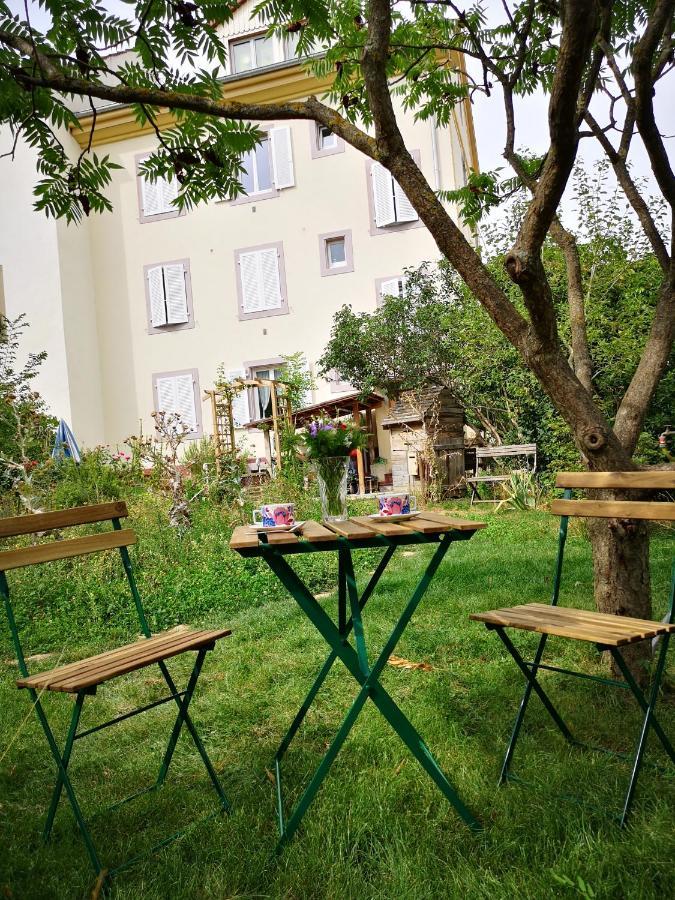 Combles et Vous, Duplex T6 Colmar, Famille, ALL INCLUSIVE, Jardin&Parking vélos Exterior foto