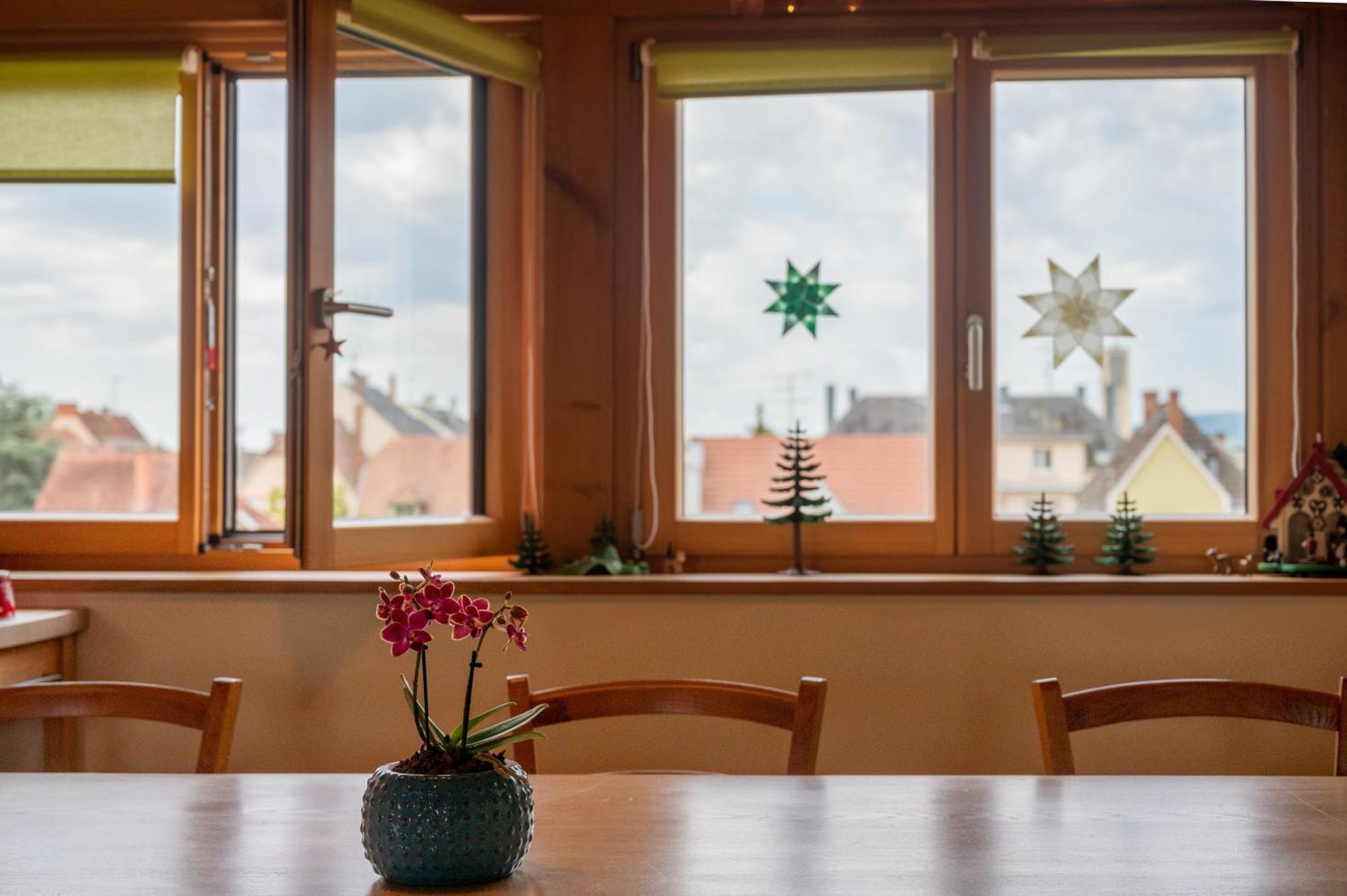 Combles et Vous, Duplex T6 Colmar, Famille, ALL INCLUSIVE, Jardin&Parking vélos Exterior foto