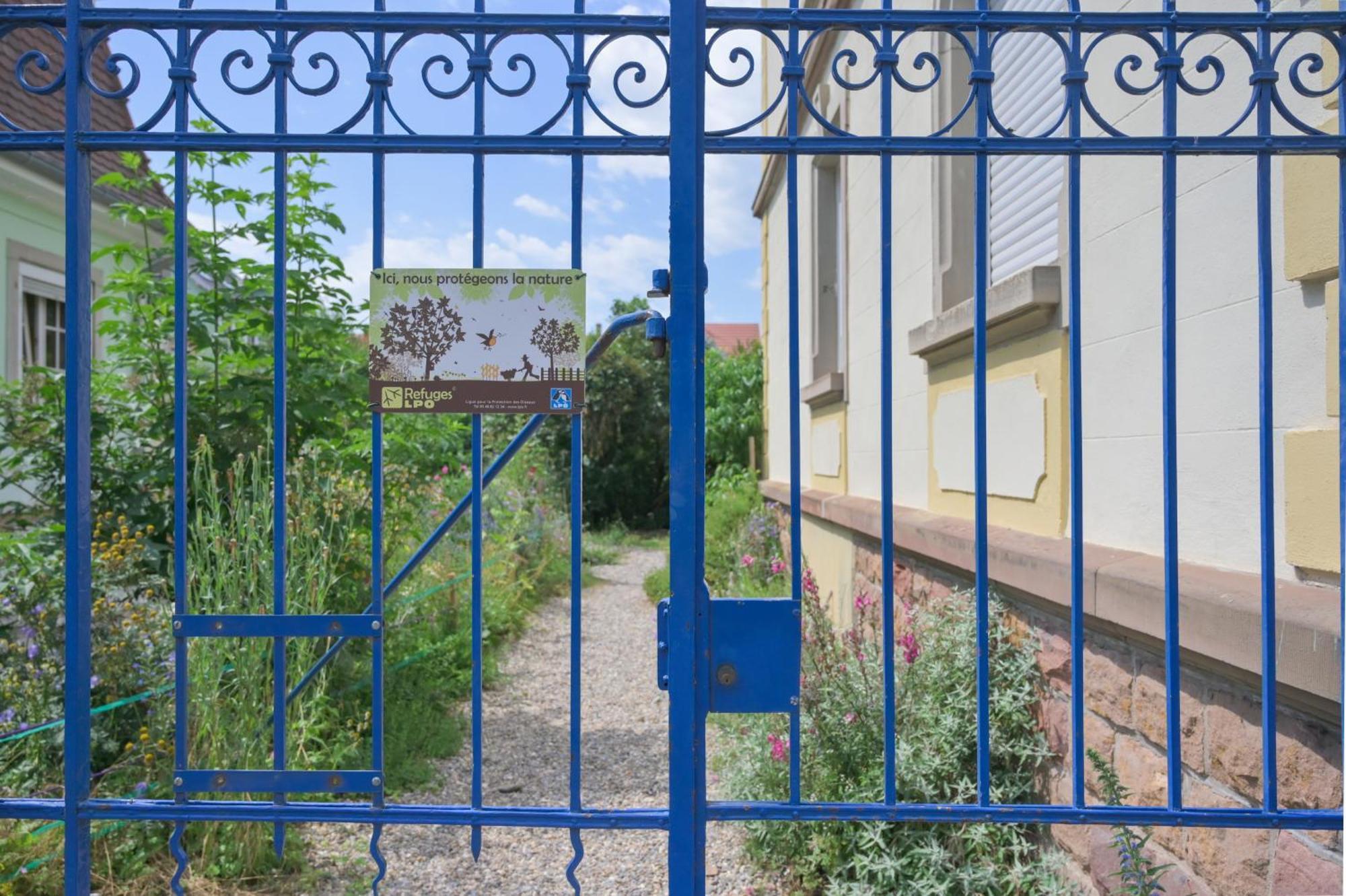 Combles et Vous, Duplex T6 Colmar, Famille, ALL INCLUSIVE, Jardin&Parking vélos Exterior foto