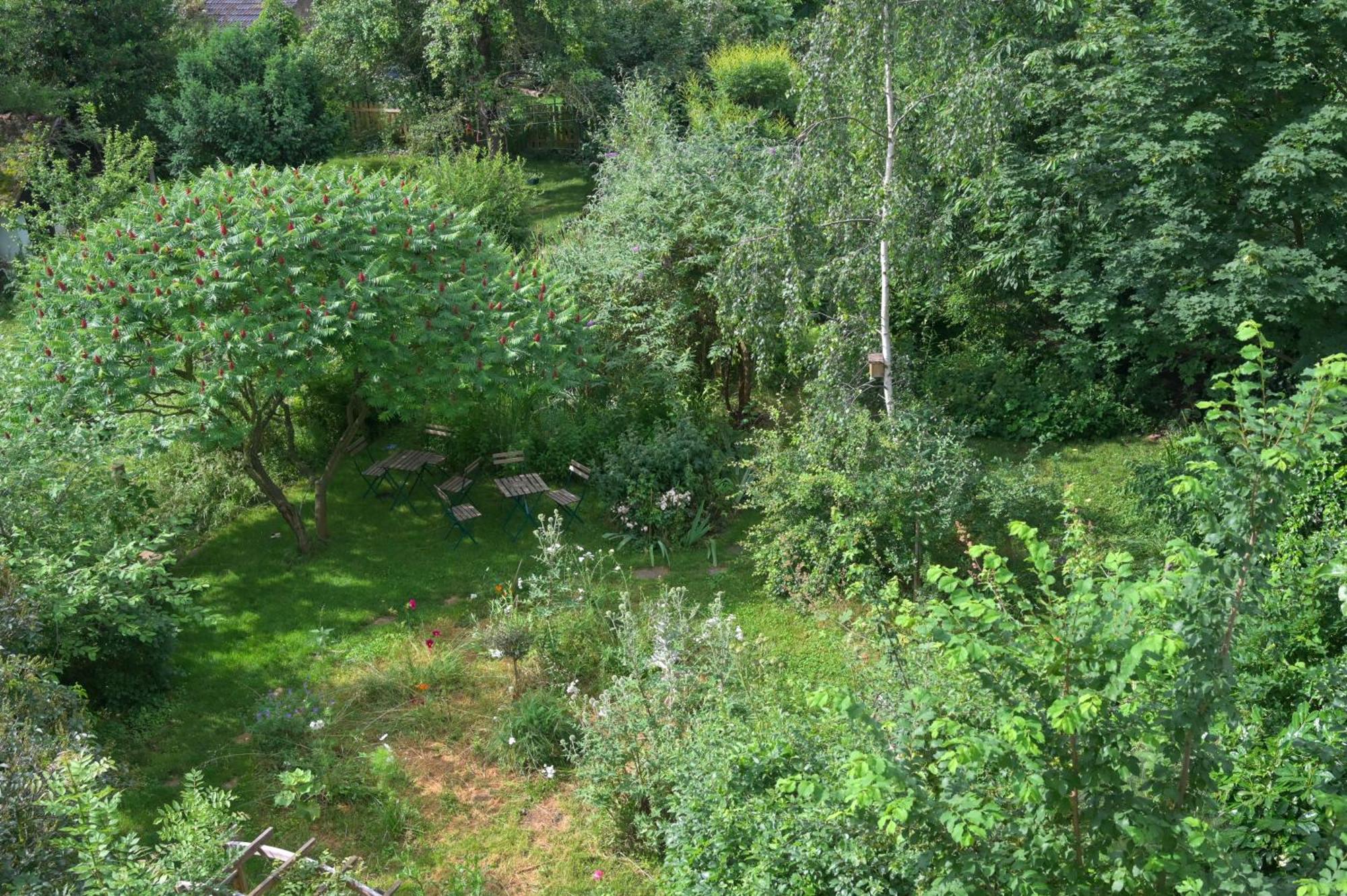 Combles et Vous, Duplex T6 Colmar, Famille, ALL INCLUSIVE, Jardin&Parking vélos Exterior foto